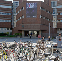 Degree in Human Nutrition and Dietetics